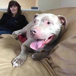 Meet your Posher, Nancy